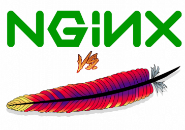 Установка Nginx, запуск