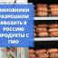 Минсельхоз поддержал допуск ГМО-продукции в Россию