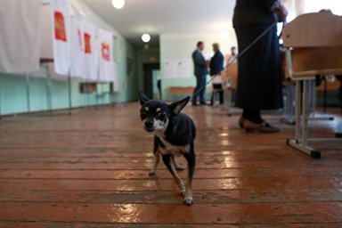 Голосование на выборах в Госдуму в Москве будет электронным