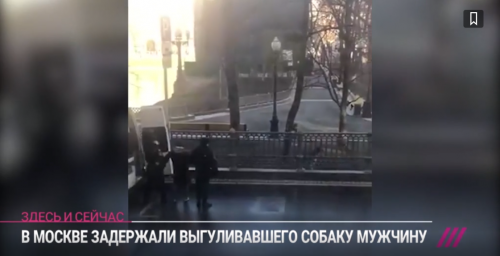 Иисус задержанный с собакой на Патриарших, о случившемся Иисус задержанный с собакой на Патриарших, о случившемся