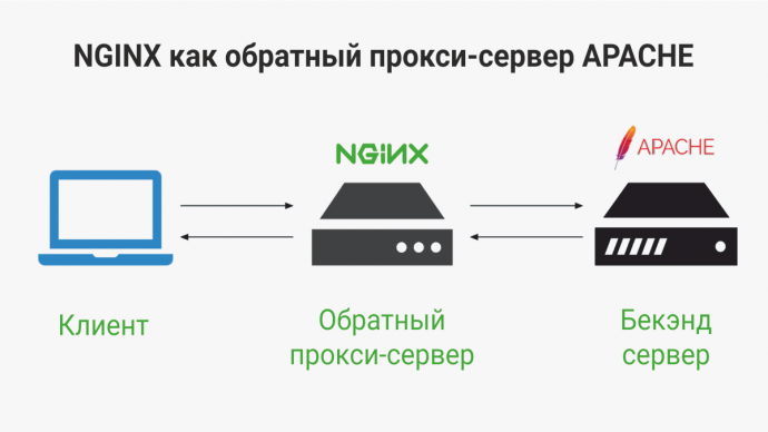 NGINX ДЛЯ APACHE В UBUNTU 20.04