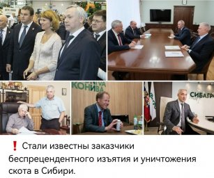 Убой скота в ​Новосибирской области