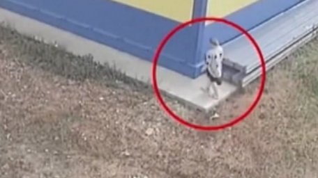 Многодетная мать родила ребенка в кустах и оставила в пакете у магазина