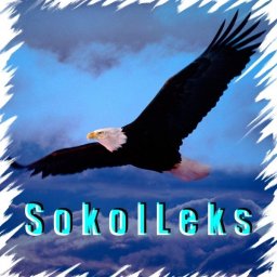 SokolLeks